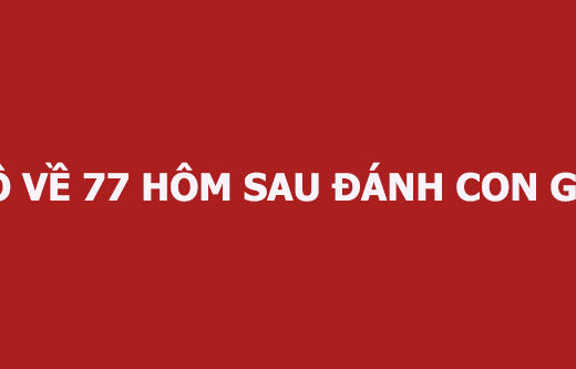 lo-ve-77-hom-sau-danh-con-gi